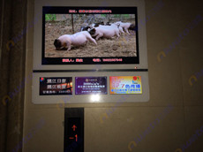 廣東湛江日報社采購艾維圖20臺32寸一拖三廣告機(jī)